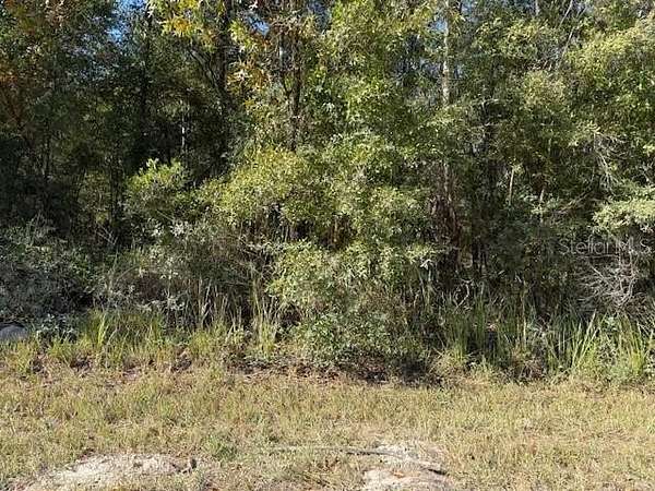 0.94 Acres of Residential Land for Sale in Bronson, Florida