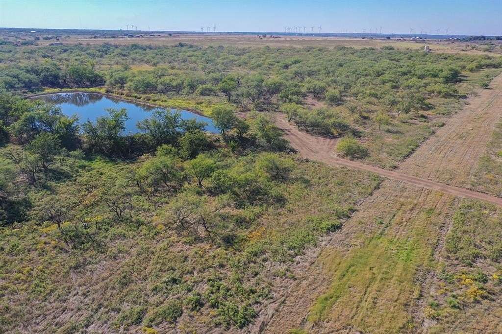 28.4 Acres of Land for Sale in Jacksboro, Texas