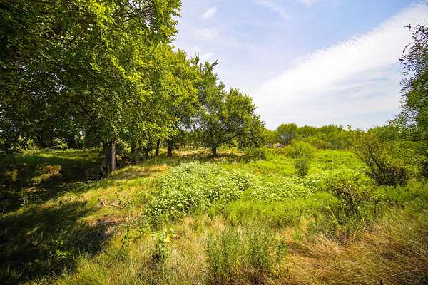 29.2 Acres of Agricultural Land for Sale in Jacksboro, Texas