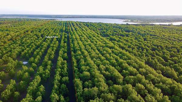 73.3 Acres of Land for Sale in Comanche, Texas