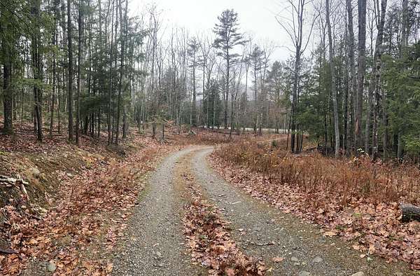 3 Acres of Land for Sale in Swanville, Maine