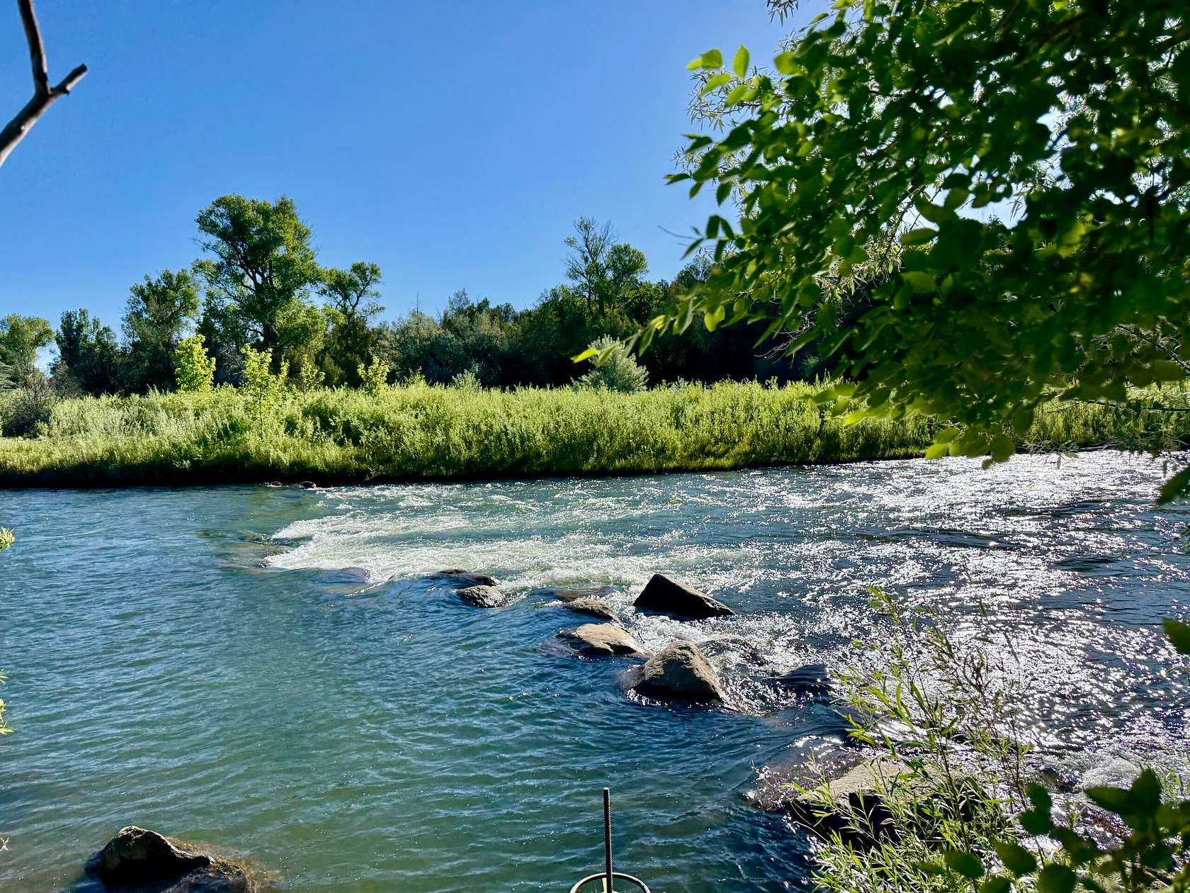 81 Acres of Land for Sale in Durango, Colorado