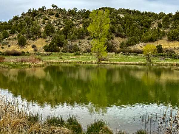 80 Acres of Land for Sale in Durango, Colorado