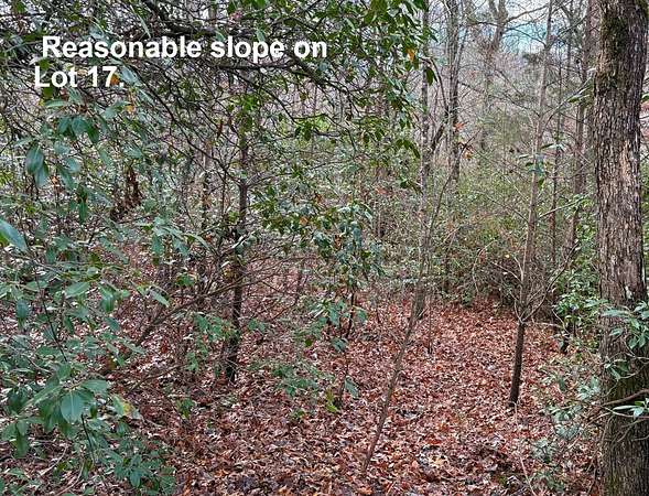 0.46 Acres of Residential Land for Sale in Sylva, North Carolina