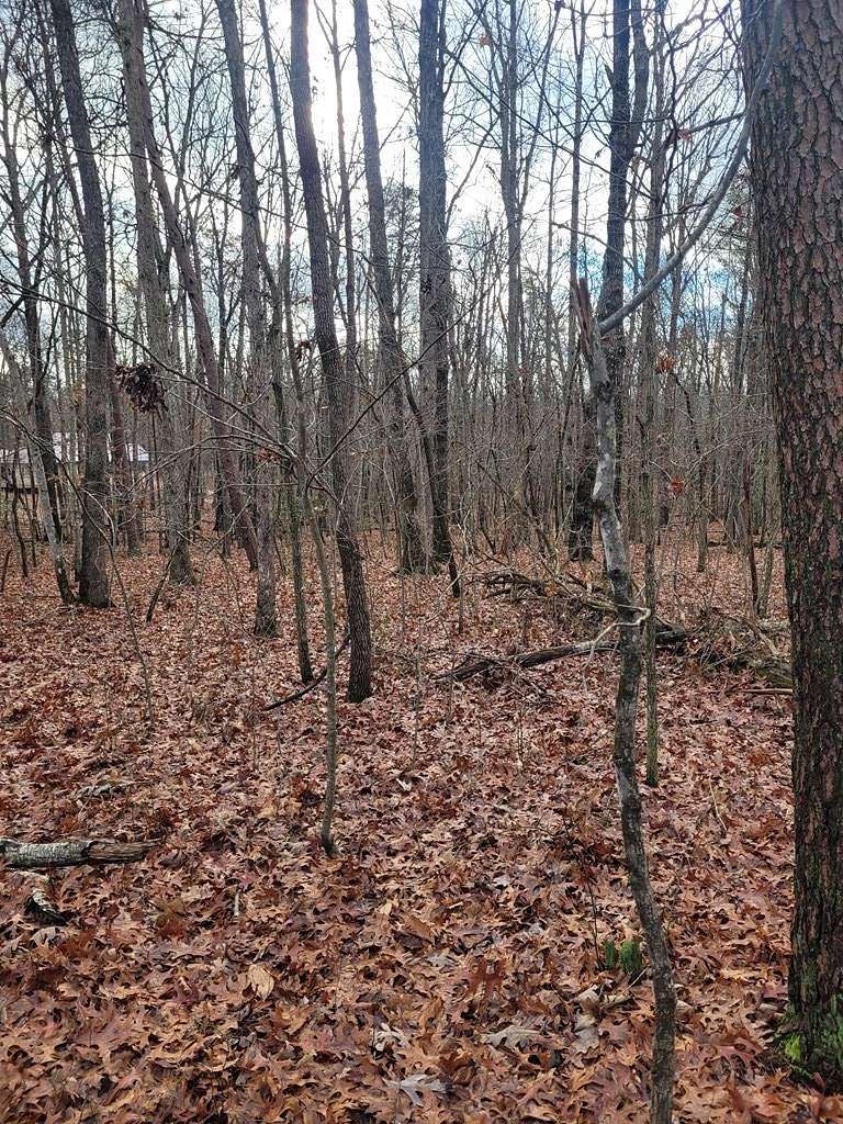 2 Acres of Residential Land for Sale in Spencer, Tennessee