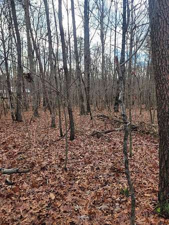 2 Acres of Residential Land for Sale in Spencer, Tennessee