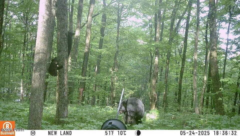 13 Acres of Recreational Land for Sale in Newfoundland, Pennsylvania