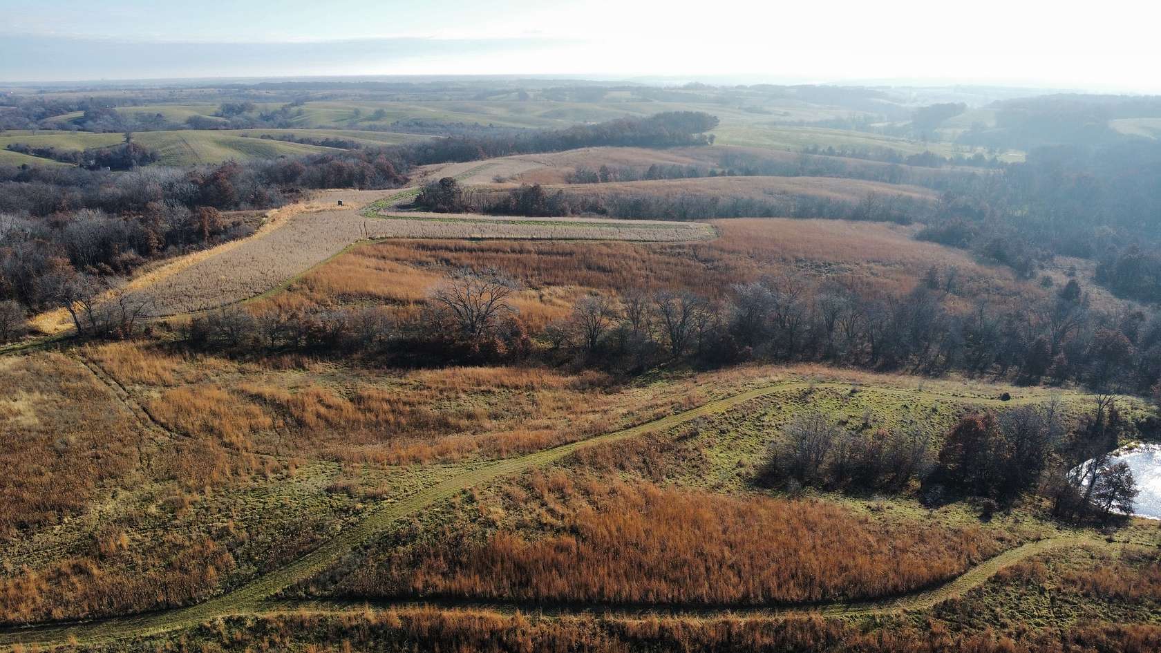 168 Acres of Recreational Land & Farm for Sale in Albia, Iowa