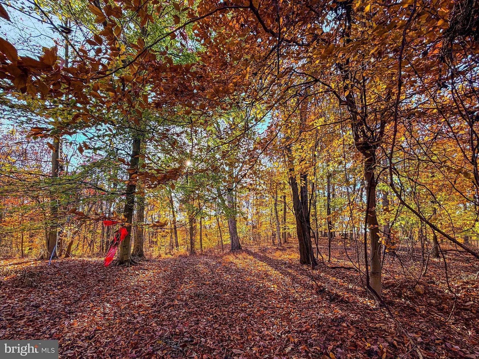 2.6 Acres of Residential Land with Home for Sale in Hedgesville, West Virginia