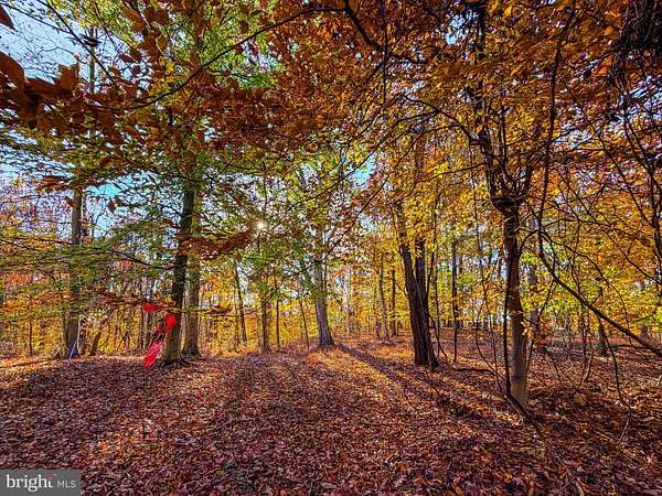 3.7 Acres of Residential Land with Home for Sale in Hedgesville, West Virginia