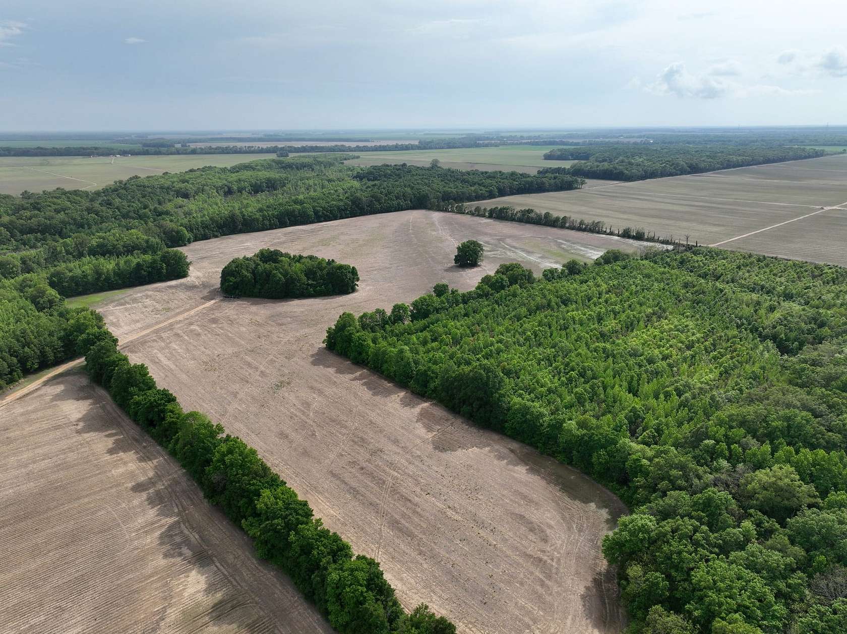 58 Acres of Recreational Land & Farm for Sale in Glendora, Mississippi