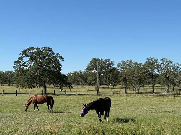 4.8 Acres of Land for Sale in Stockdale, Texas