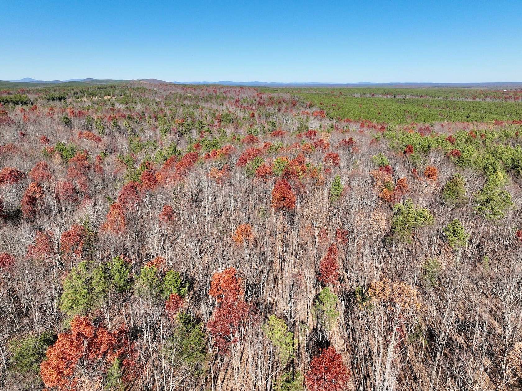 9.2 Acres of Recreational Land & Farm for Sale in Appomattox, Virginia