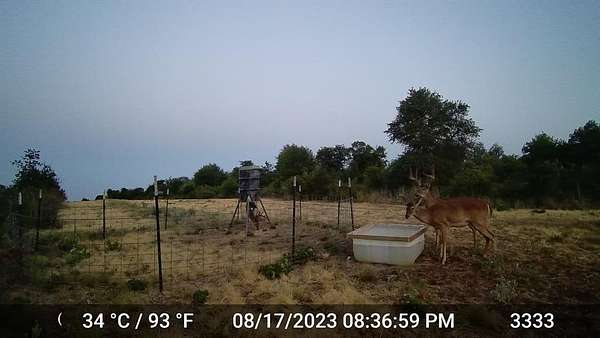 20 Acres of Recreational Land for Sale in Hawley, Texas