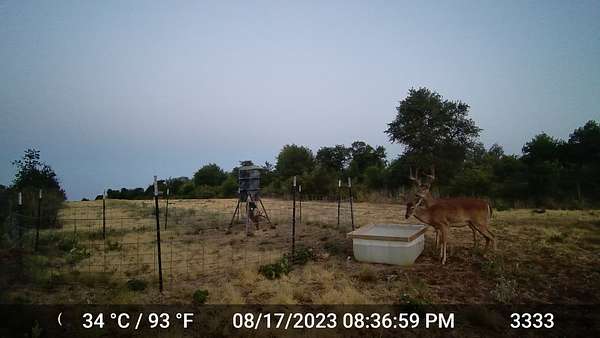 20 Acres of Recreational Land for Sale in Hawley, Texas