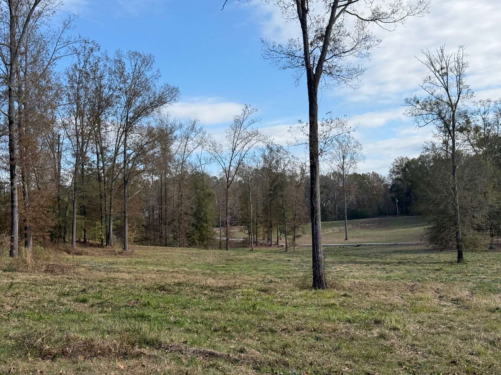 35 Acres of Land for Sale in Vicksburg, Mississippi