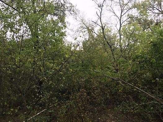 243 Acres of Land for Sale in Mexia, Texas