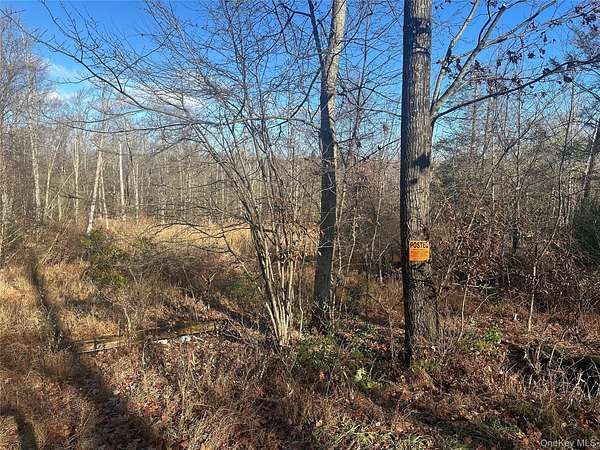 8 Acres of Residential Land for Sale in Ellenville, New York