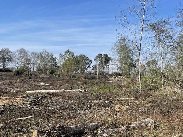 8 Acres of Residential Land for Sale in Columbia, Mississippi