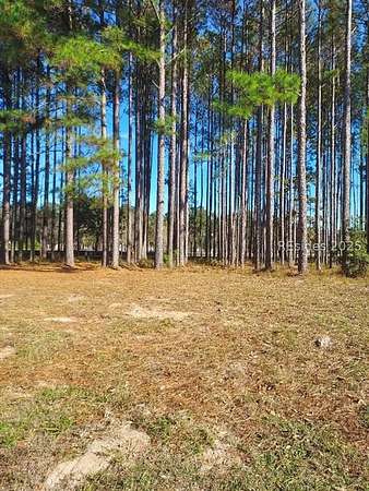 0.46 Acres of Residential Land for Sale in Hardeeville, South Carolina