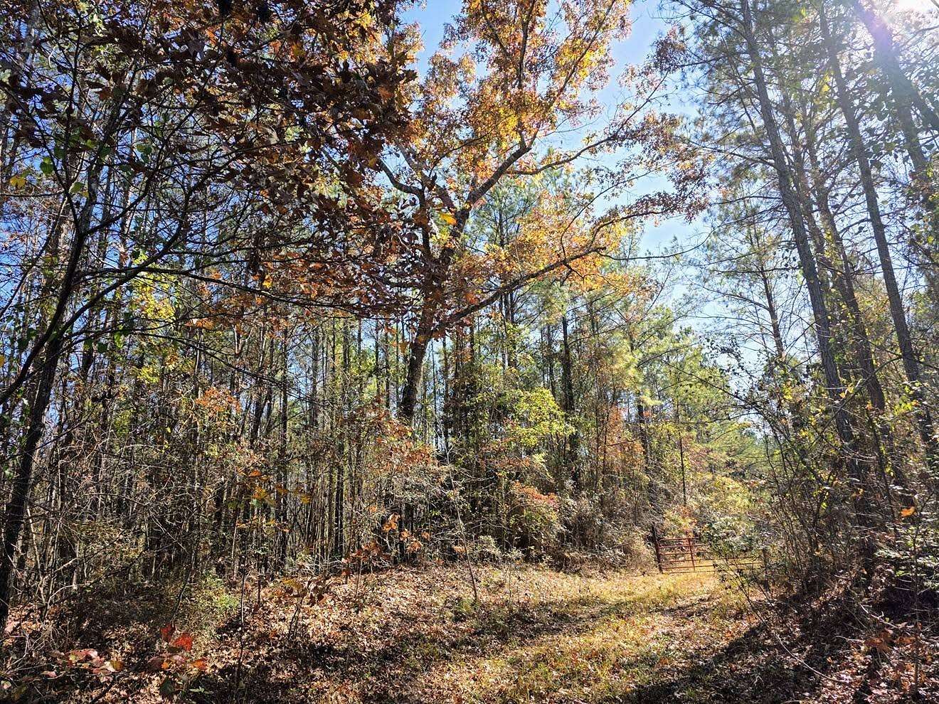 130 Acres of Recreational Land for Sale in Marion, Alabama