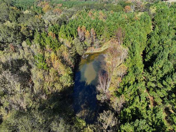 1,026 Acres of Recreational Land for Sale in Dierks, Arkansas