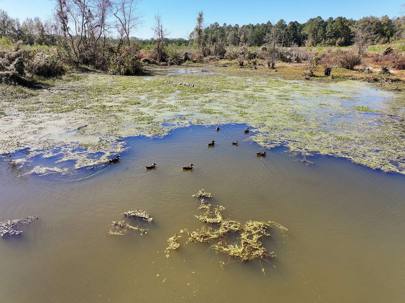 2,978 Acres of Recreational Land for Sale in De Queen, Arkansas