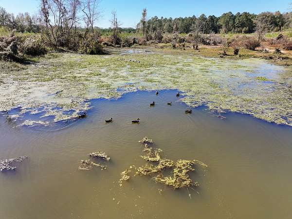 2,978 Acres of Recreational Land for Sale in De Queen, Arkansas