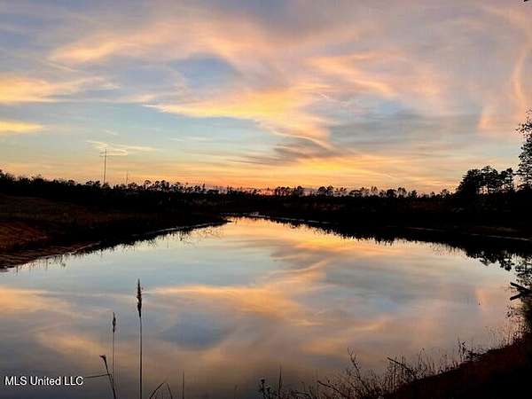 39.4 Acres of Land for Sale in Ruth, Mississippi