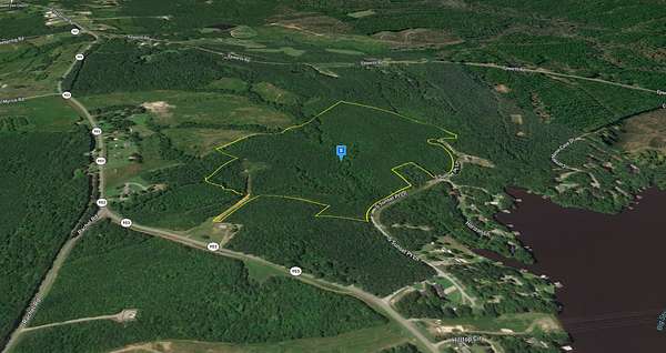 45 Acres of Recreational Land for Sale in Littleton, North Carolina