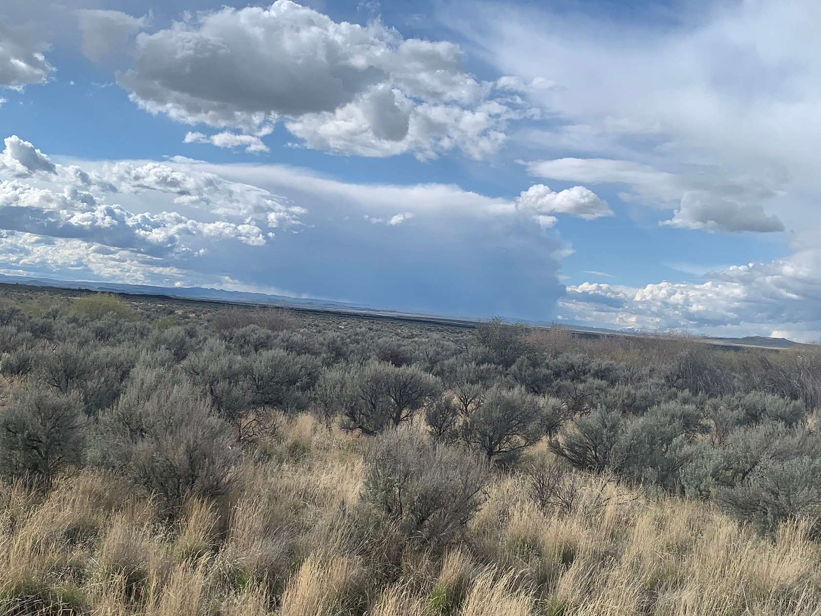 20 Acres of Recreational Land for Sale in Shoshone, Idaho