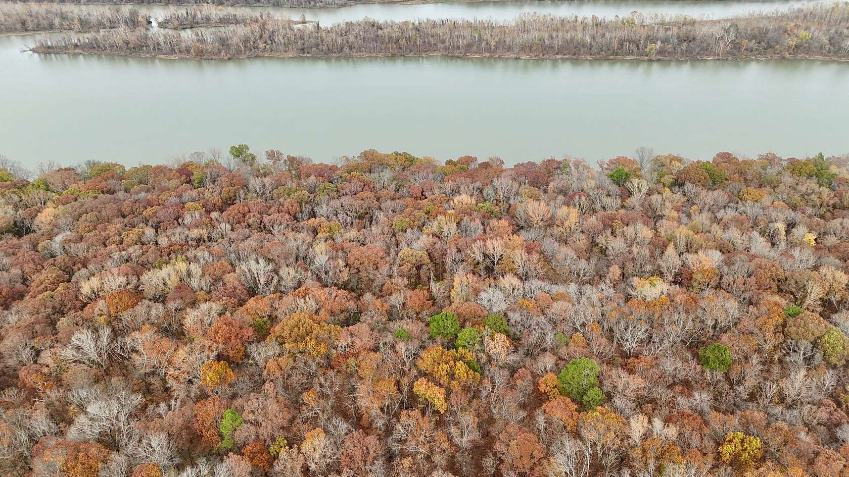 174 Acres of Recreational Land for Sale in Cecil, Arkansas