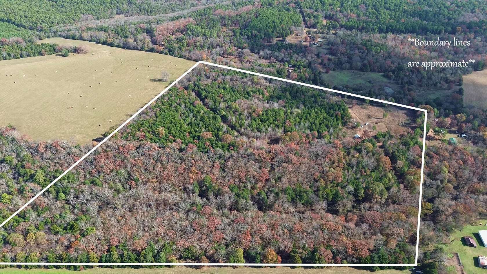 41.4 Acres of Recreational Land for Sale in Mulberry Township, Arkansas