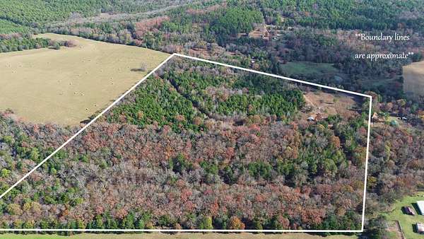 41.4 Acres of Recreational Land for Sale in Mulberry Township, Arkansas