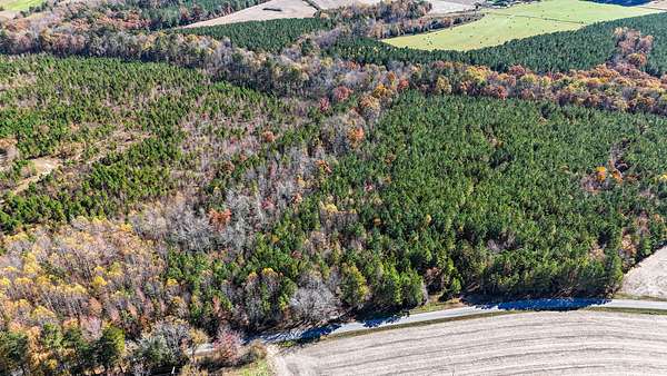 12 Acres of Land for Sale in Kenbridge, Virginia