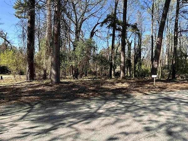 0.38 Acres of Residential Land for Sale in Lexington, South Carolina