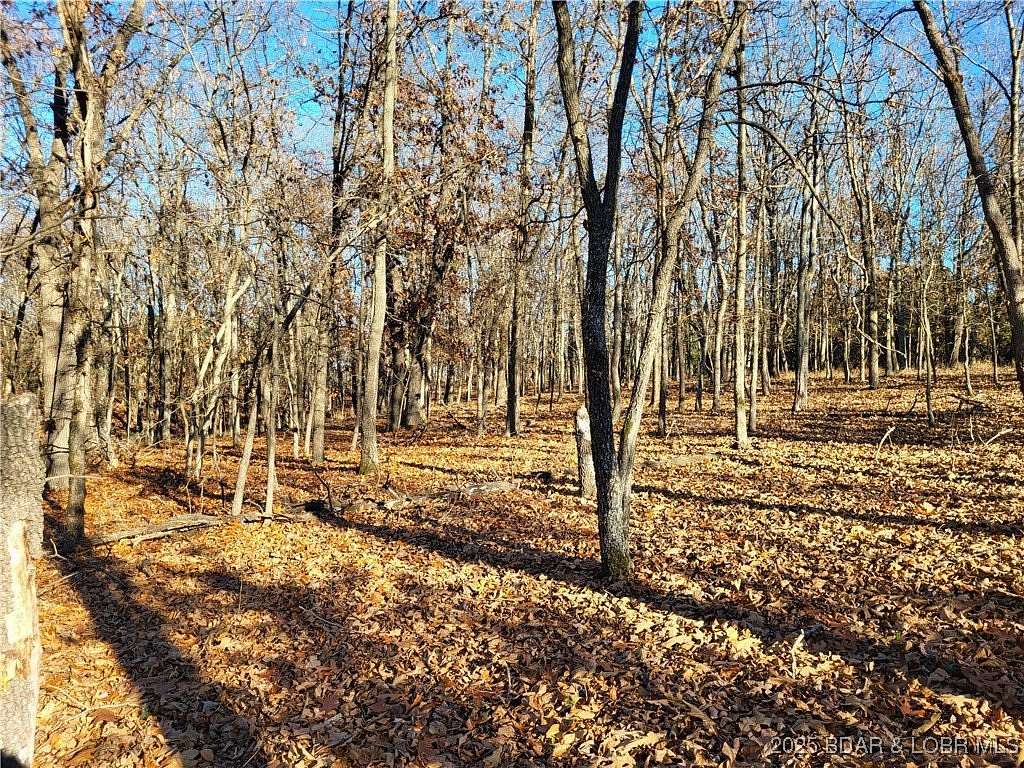 17 Acres of Recreational Land for Sale in Edwards, Missouri