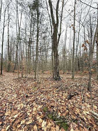 40 Acres of Recreational Land for Sale in Cheboygan, Michigan