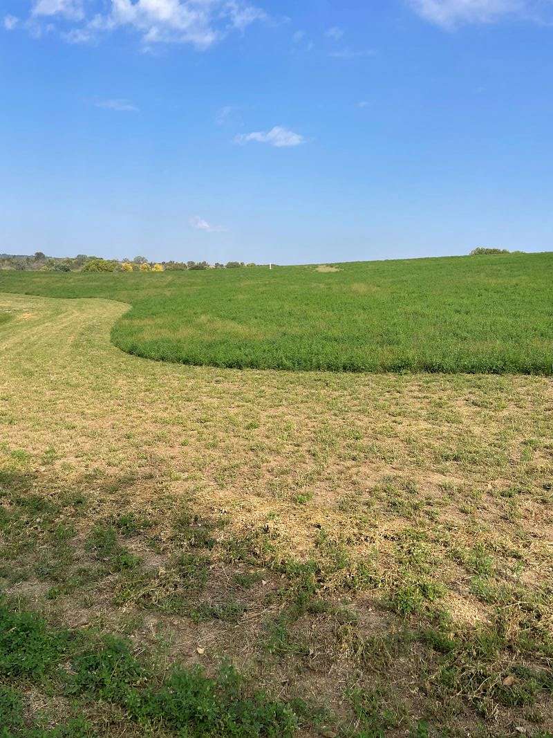 3 Acres of Land for Sale in Glenwood, Iowa