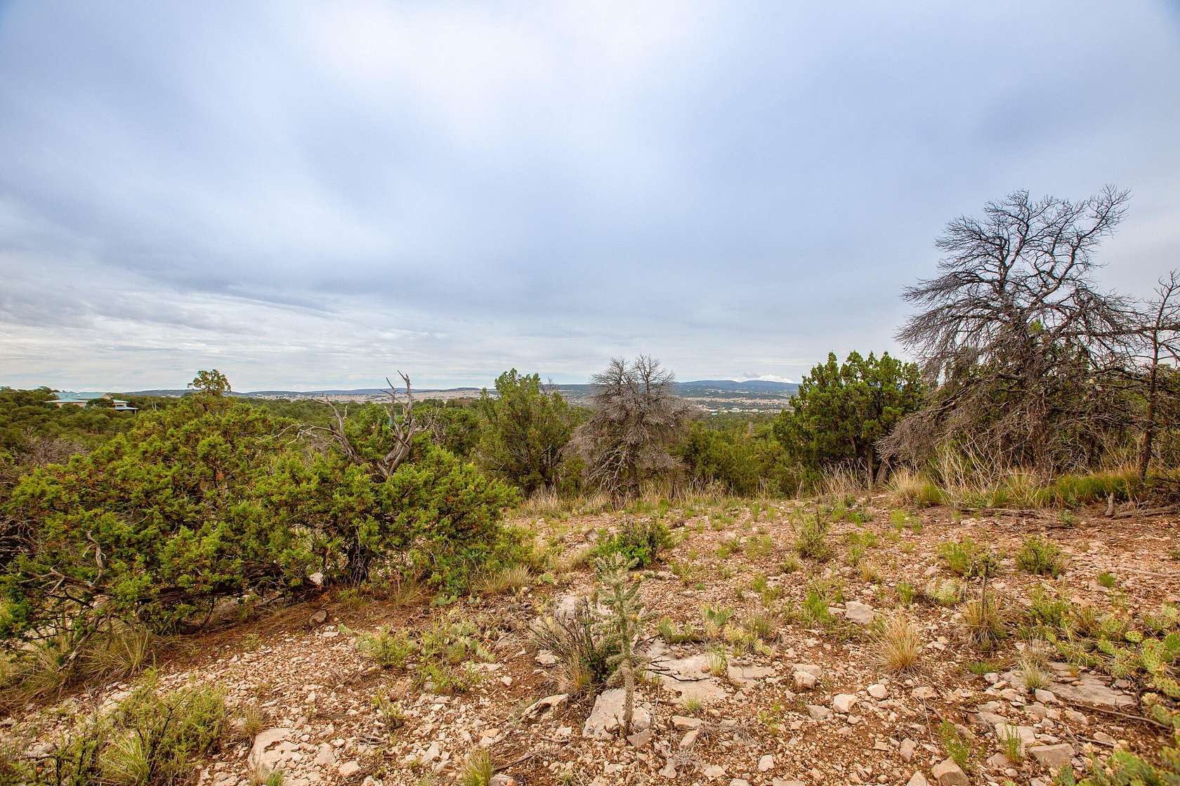 2.42 Acres of Residential Land for Sale in Sandia Park, New Mexico