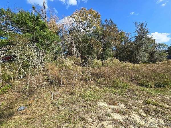 0.6 Acres of Residential Land for Sale in Inverness, Florida