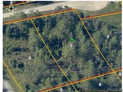 0.47 Acres of Residential Land for Sale in Weeki Wachee, Florida