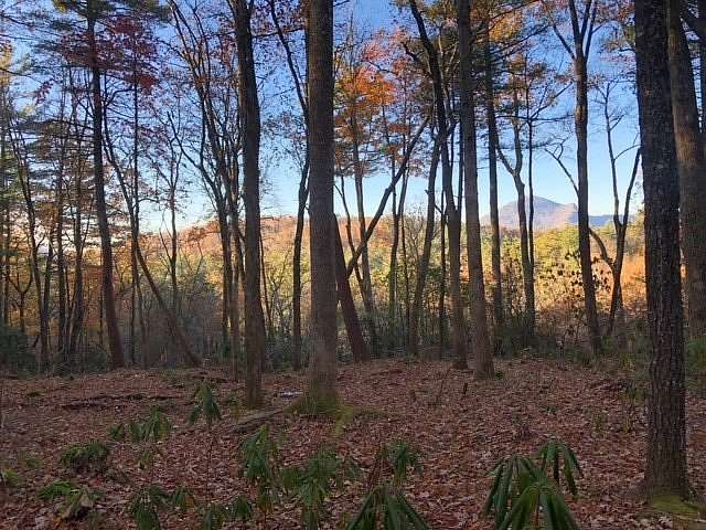 1.2 Acres of Residential Land for Sale in Cashiers, North Carolina