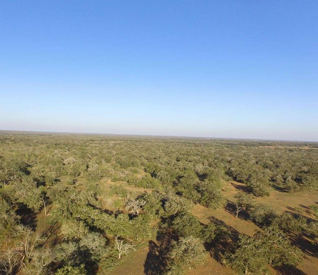 11.6 Acres of Land for Sale in Seguin, Texas