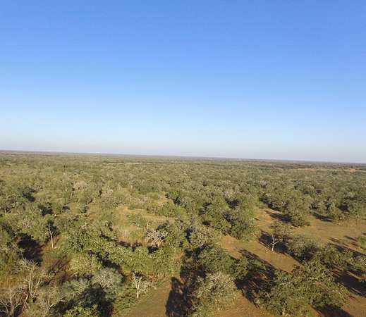 11.6 Acres of Land for Sale in Seguin, Texas