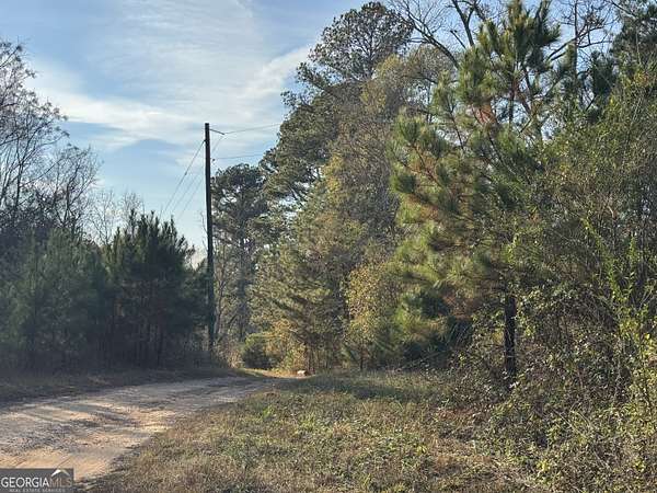 34.2 Acres of Land for Sale in Elberton, Georgia
