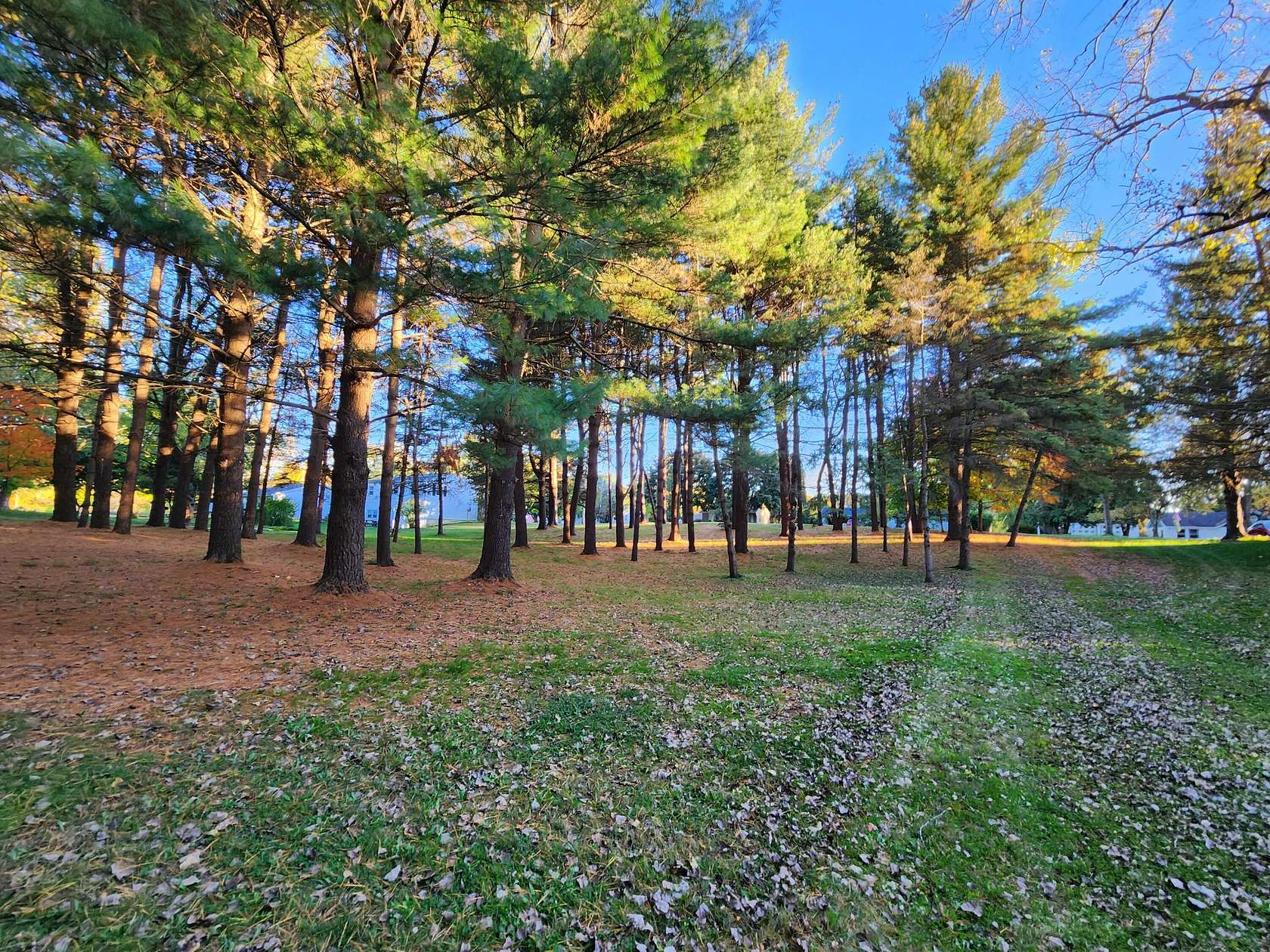 0.46 Acres of Residential Land for Sale in Marne, Michigan