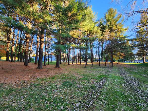 0.46 Acres of Residential Land for Sale in Marne, Michigan