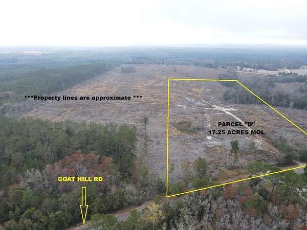 17.3 Acres of Land for Sale in Samson, Alabama