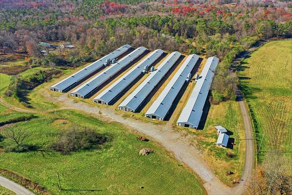 23 Acres of Agricultural Land with Home for Sale in Dawsonville, Georgia